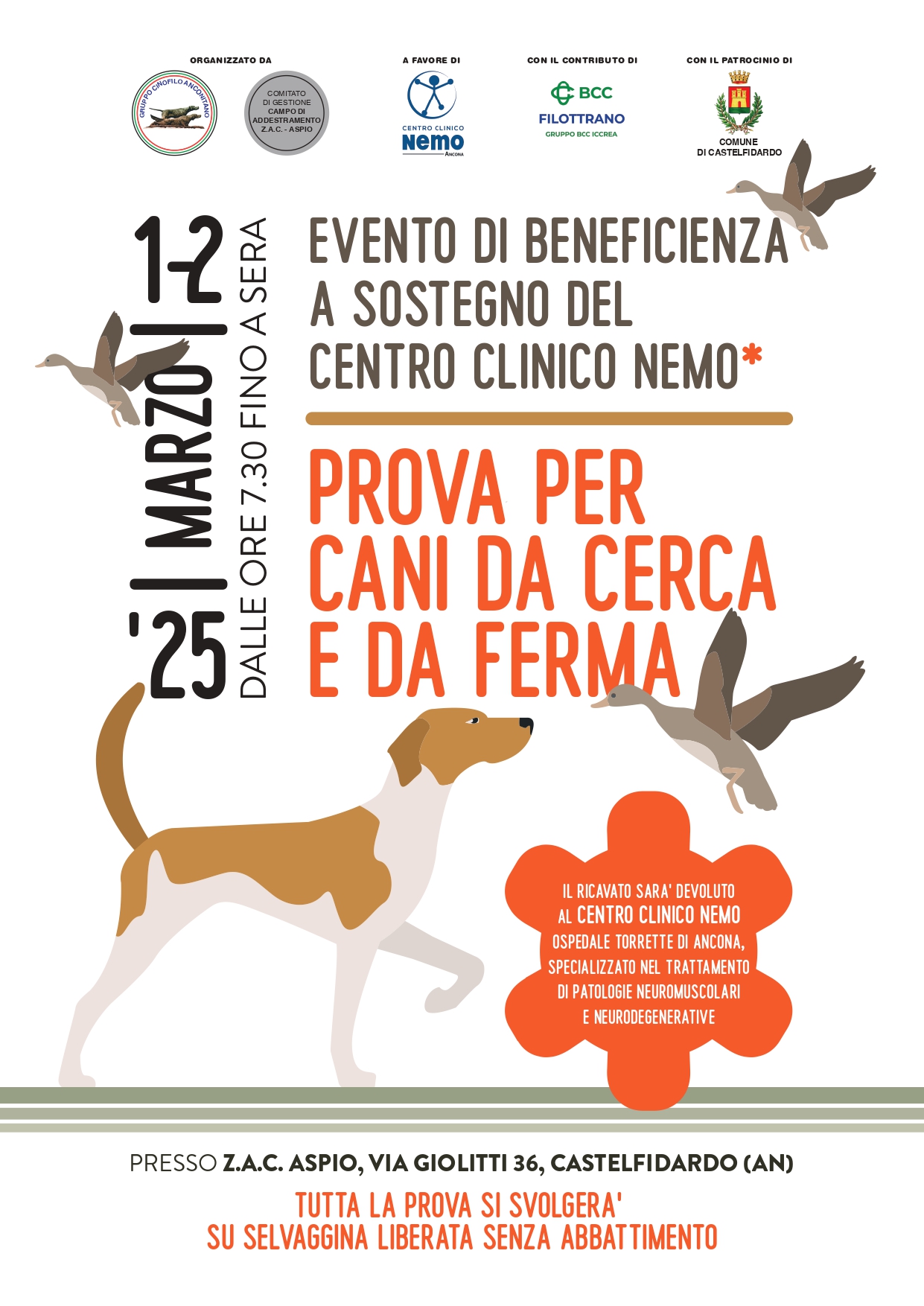 Prova per cani da caccia e da ferma