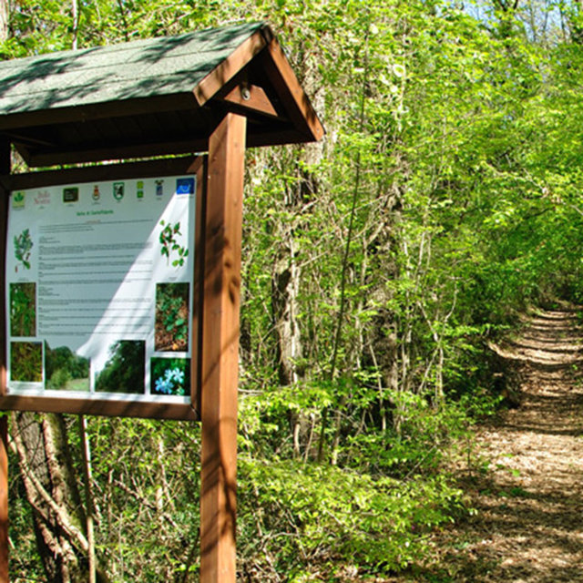 Finanziati i progetti per l'habitat naturale della Selva 